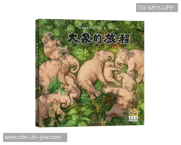 我与足球的心灵旅程与成长故事分享