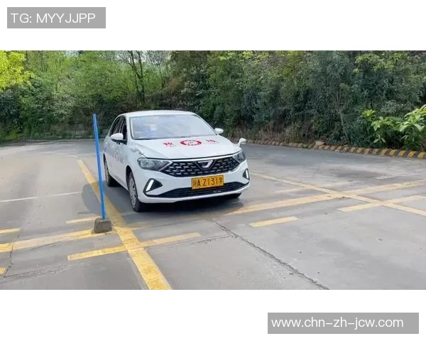 足球裁判二级考试全面解析与备考策略分享助你顺利通过考试